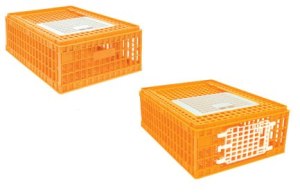 Lada transport broiler.