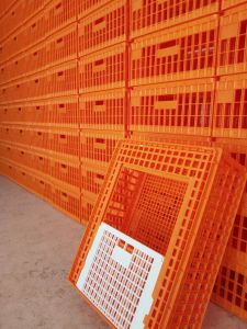 Lăzile noastre la Avi 2000.
