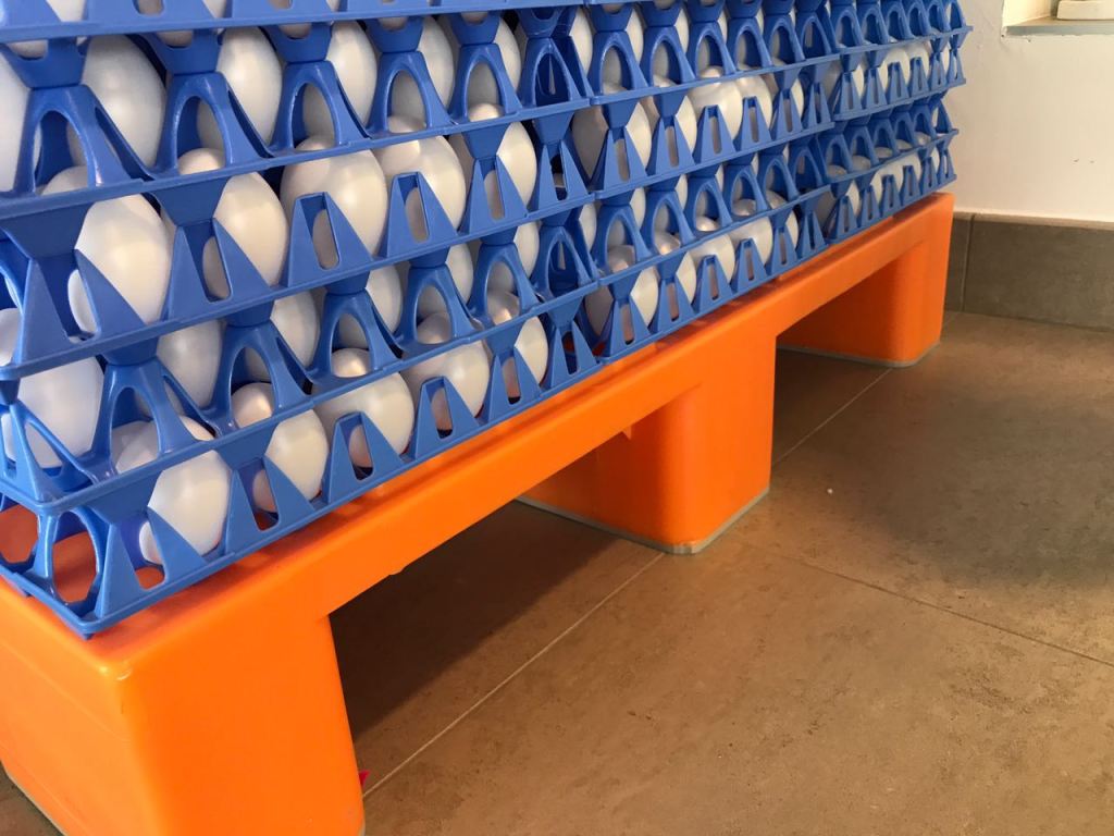 Sistemul Eggs Cargo la Lumina.