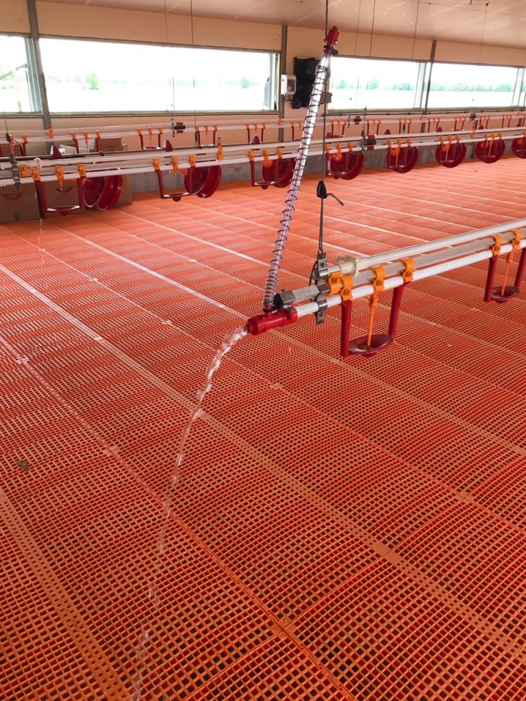 Linii automate adăpare curcani.