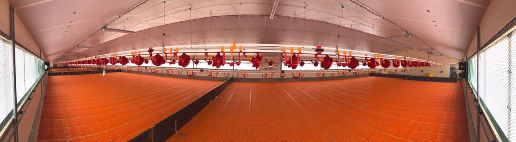 Linii automate adăpare  rate.