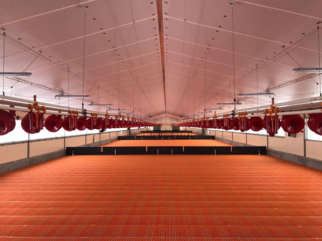 Linii automate hrănire rate.