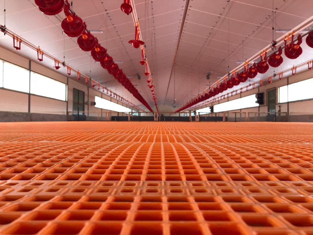 Linii automate hrănire rate..