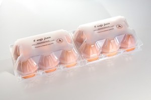 portauova-2x6-europa_s