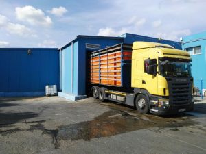 Lăzile noastre la Safir.