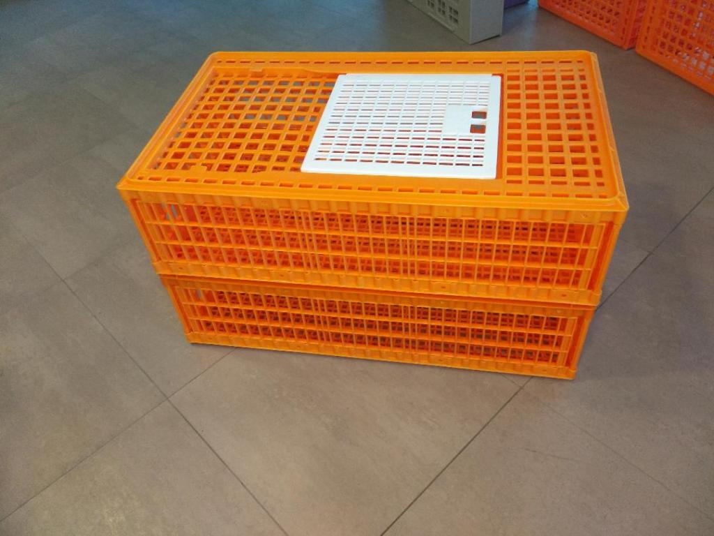 Universal coop 110x58x27