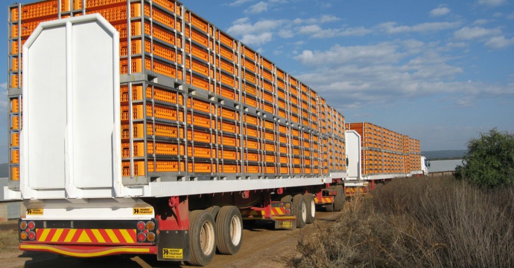 Camion cu containere transport pui cu sertare din plastic.