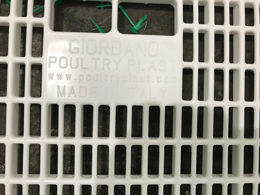 Lada transport pui broiler originala Giordano Poultryplast.