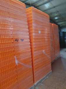 Lăzile noastre la Avicola Slobozia.