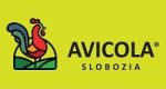Avicola Slobozia.