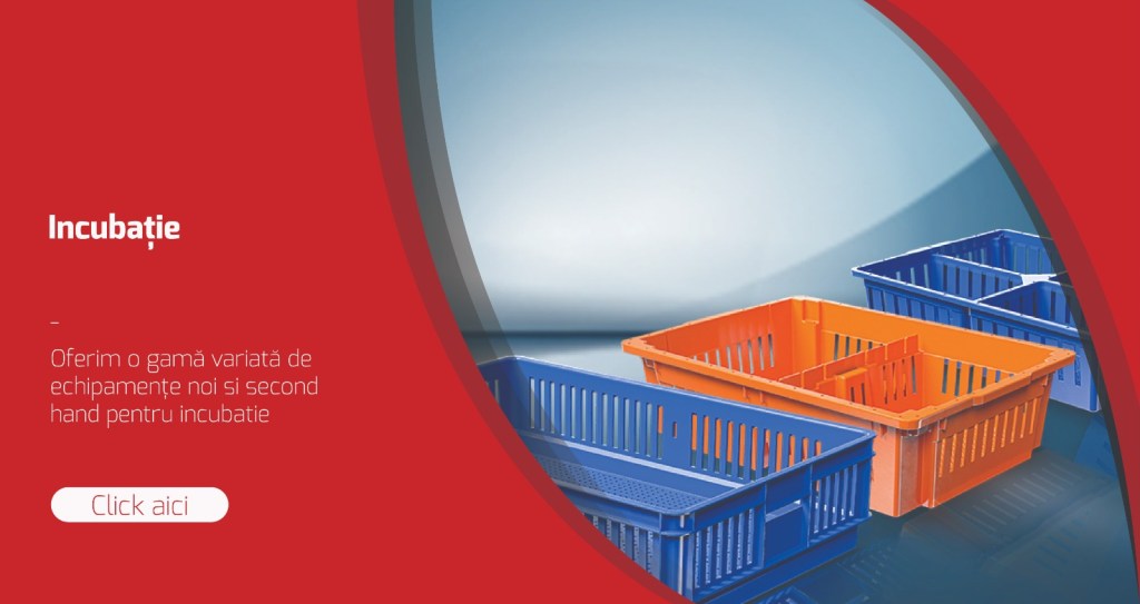 Eficientizarea Incubației