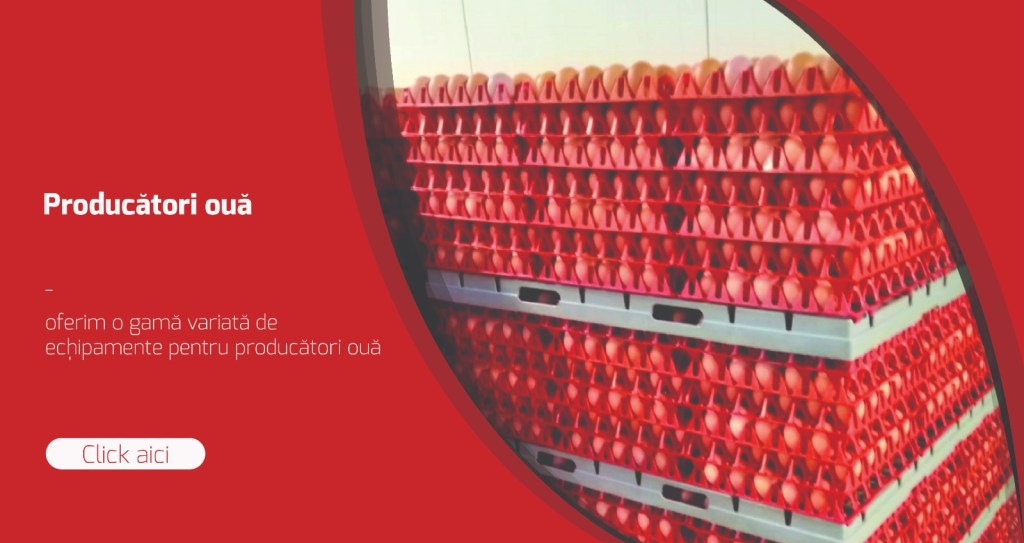 Soluții economisire producători de oua