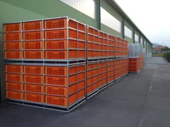 sertare transport pui Broiler