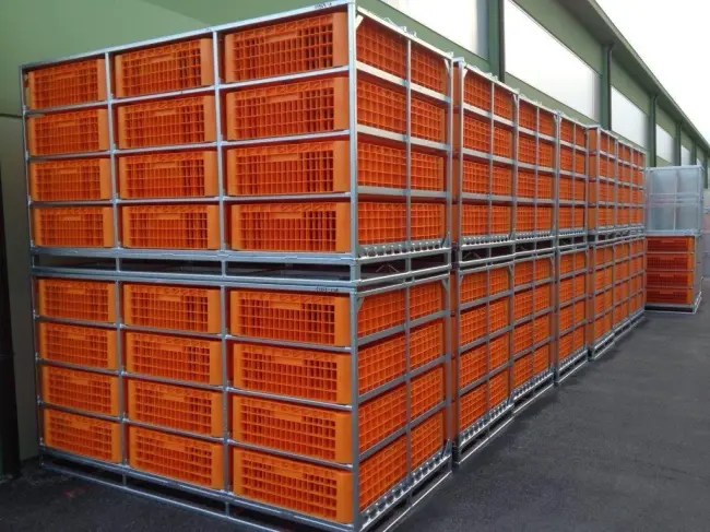 sertare transport pui